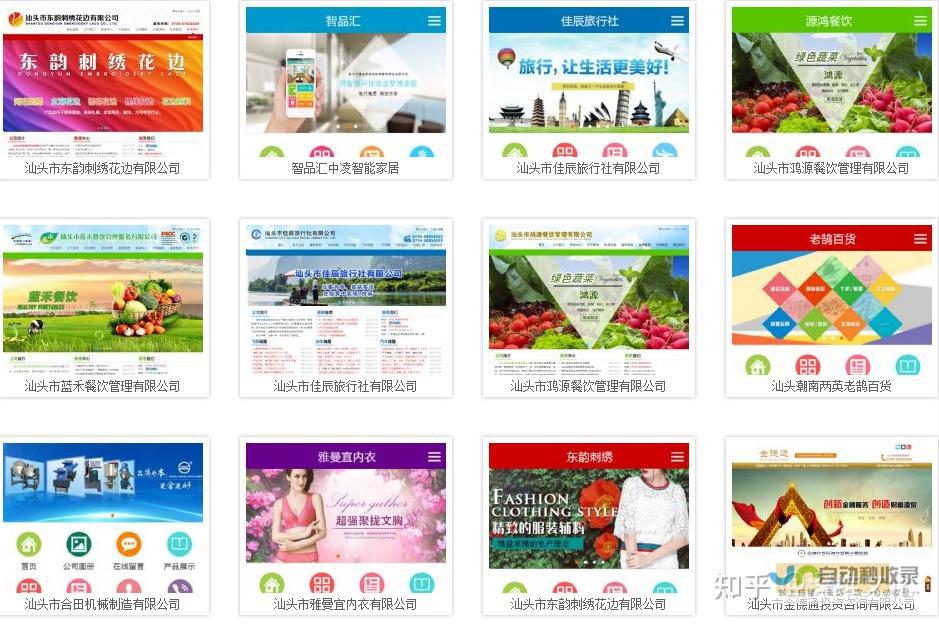 专业网站开发制作公司：打造您的在线成功之路